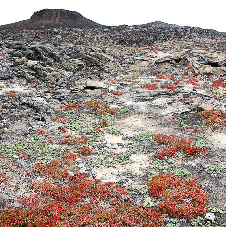 Cône volcanique - Isla Sombrero Chino