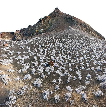 Cône volcanique - Isla Bartolomé